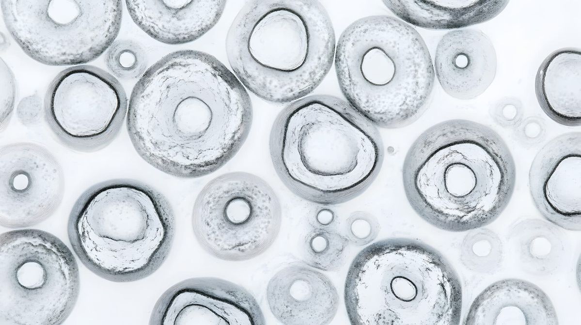 Beyond Supplements: A Science-Based Approach to Cellular Energy and Aging