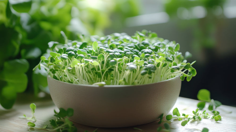 The Vegetable That Activates 200 Protective Genes — And Why We Standardized It