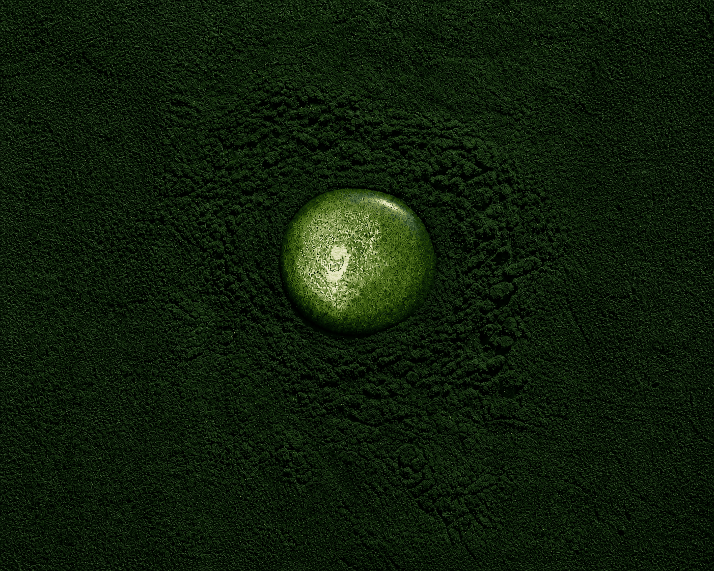 Spirulina and Your Mitochondria: The 3.5-Billion-Year-Old Longevity Secret - Toqui Energy