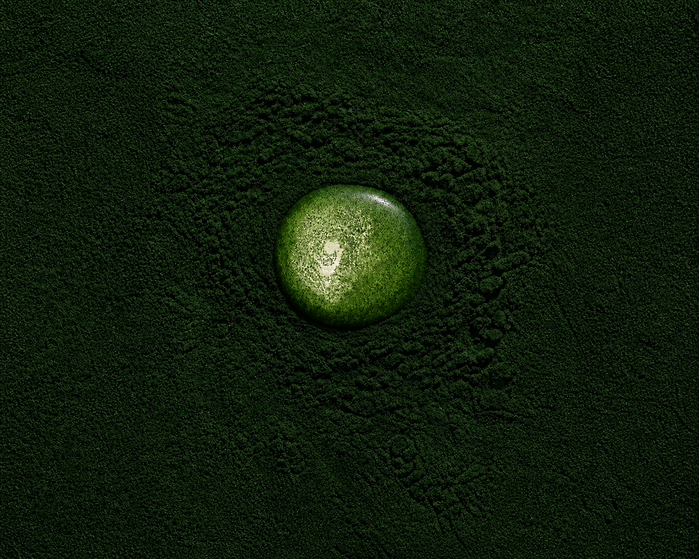 Spirulina and Your Mitochondria: The 3.5-Billion-Year-Old Longevity Secret