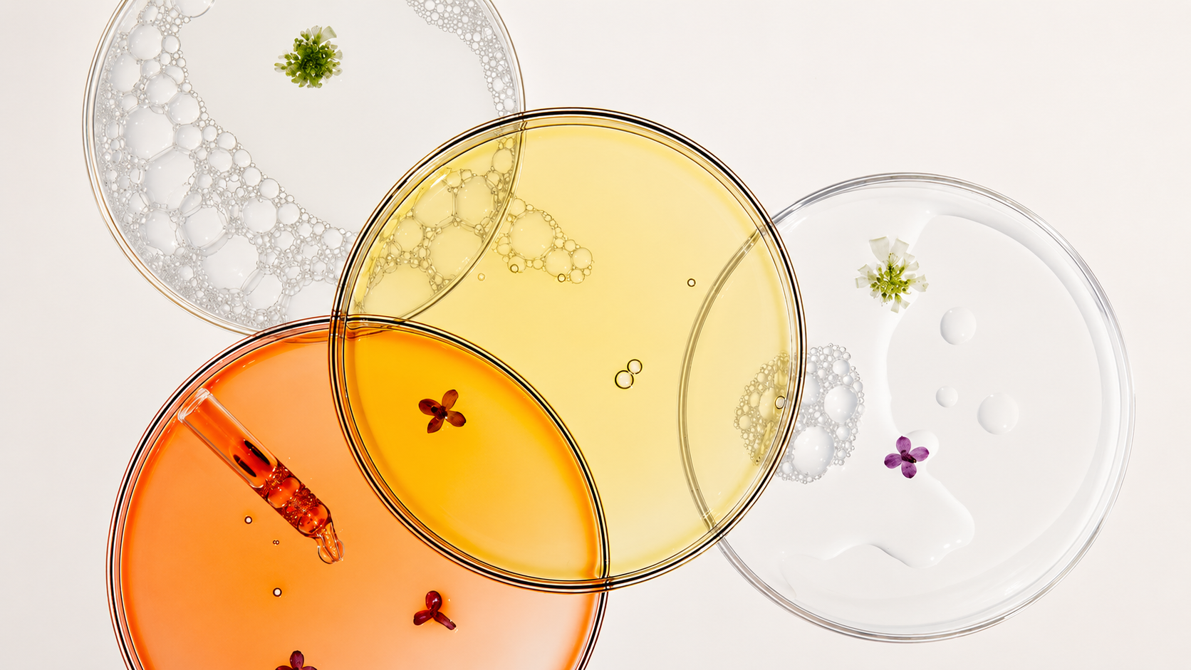 Vitamin D3 + K2: Basics of bone health, immune support, and calcium metabolism.