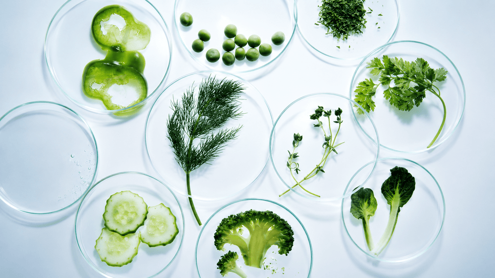 TOQUI Longevity Gummies: The Science Behind Every Ingredient - Toqui Energy