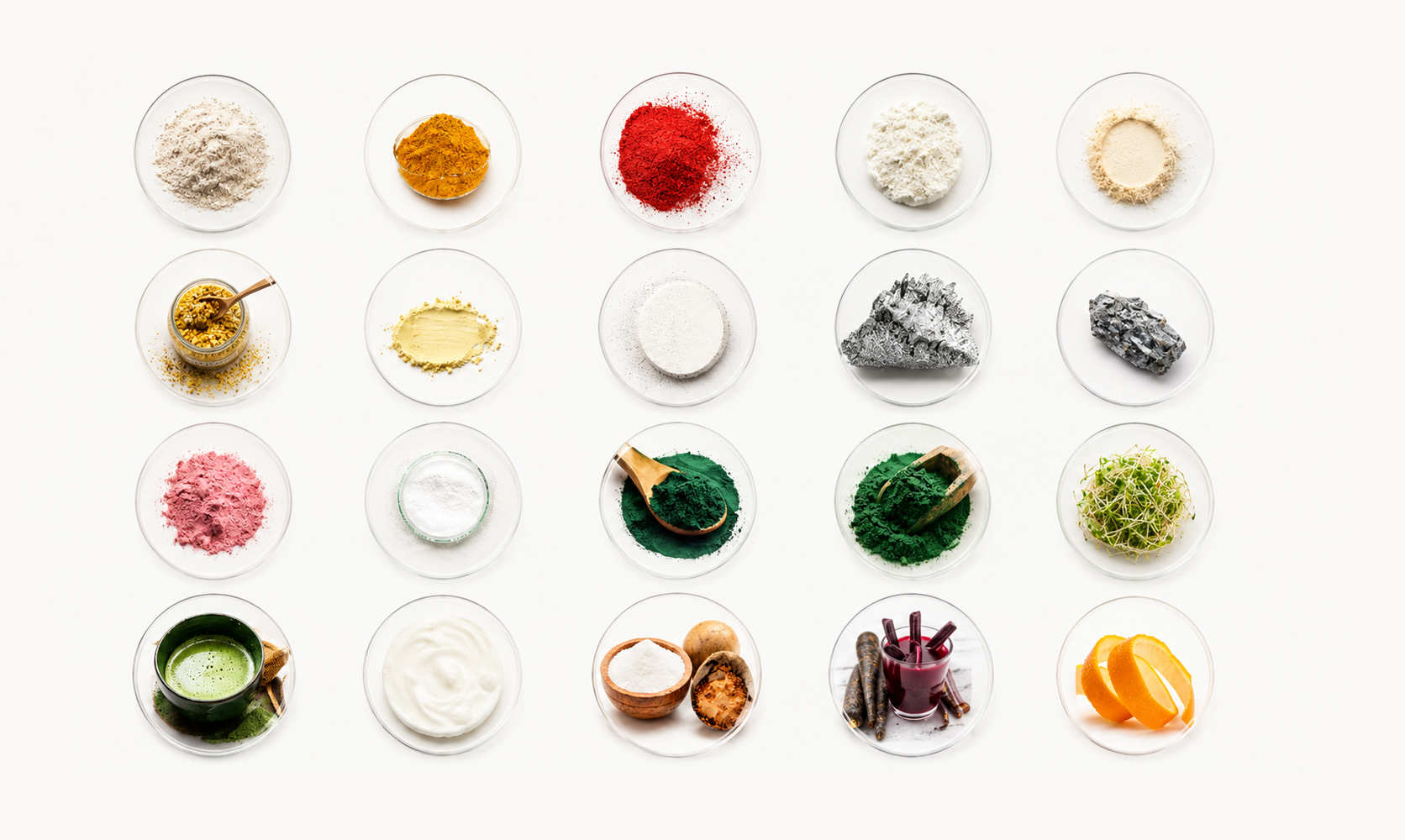 The Science Behind TOQUI: Ingredients Designed for Energy, Recovery, and Healthy Aging