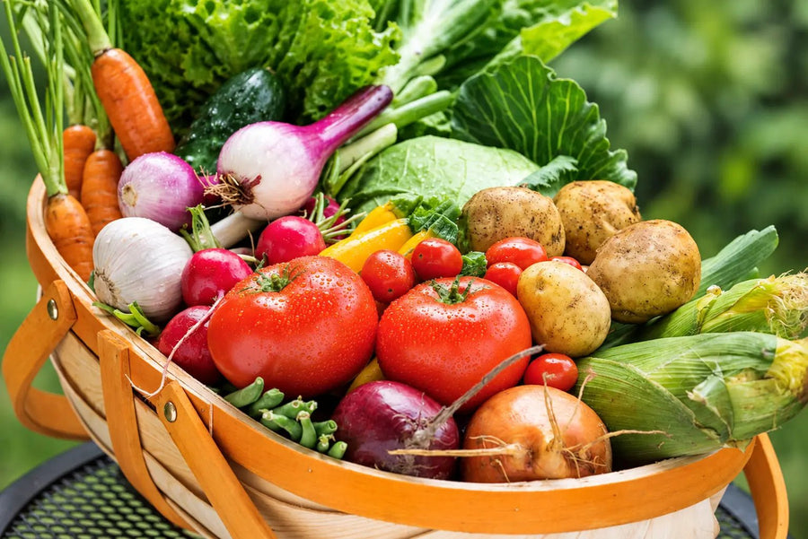 The Greens You're Not Getting From Your Diet — And Why It Matters After 40 - Toqui Energy