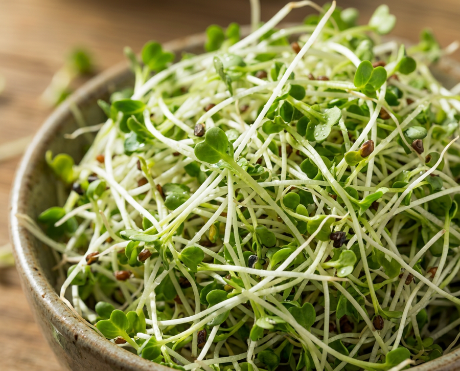 Organic Broccoli Sprout Extract (standardized)