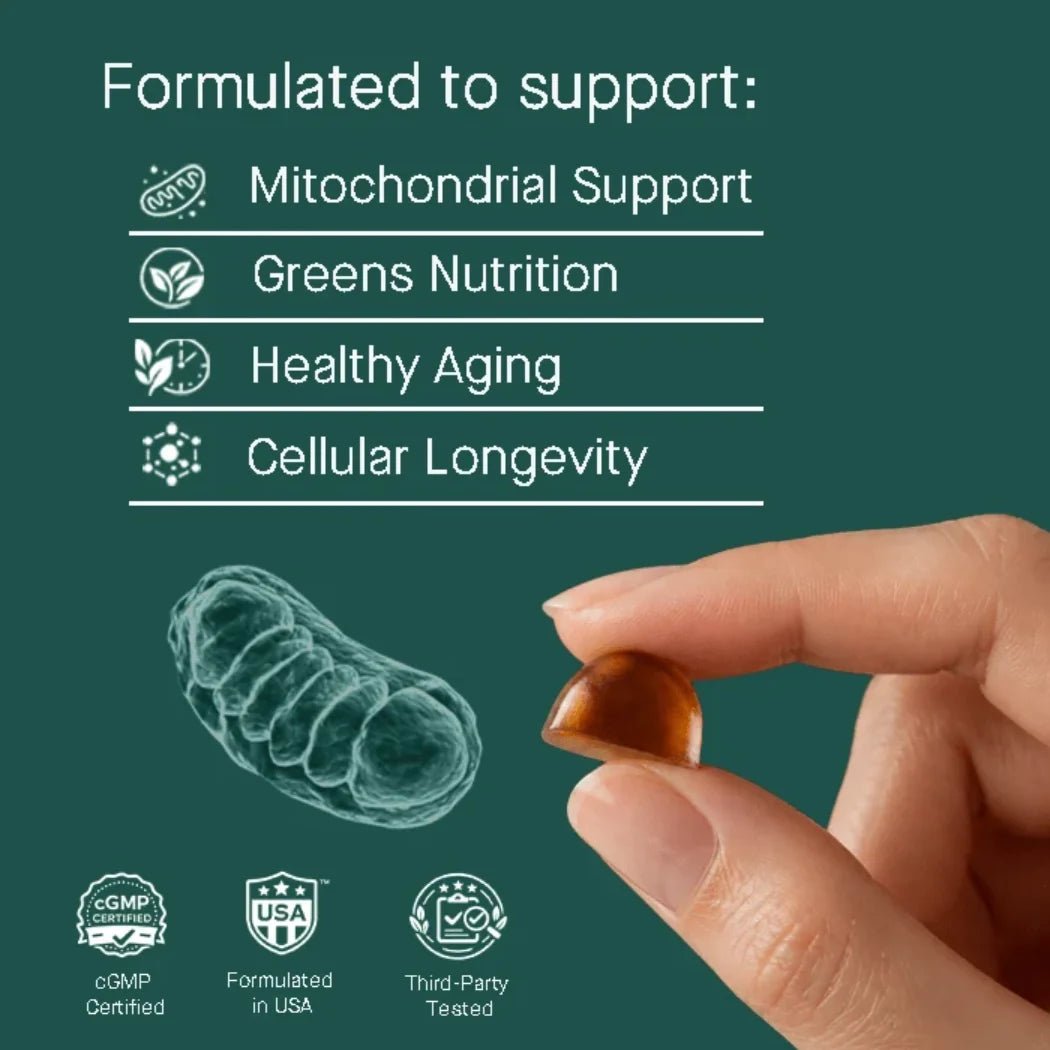 TOQUI Longevity Green Gummies - Toqui Energy