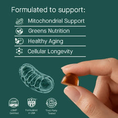 TOQUI Longevity Green Gummies - Toqui Energy