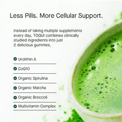 TOQUI Longevity Green Gummies - Toqui Energy