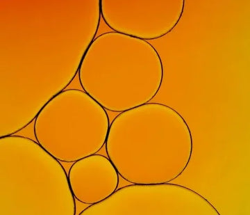 CoQ10