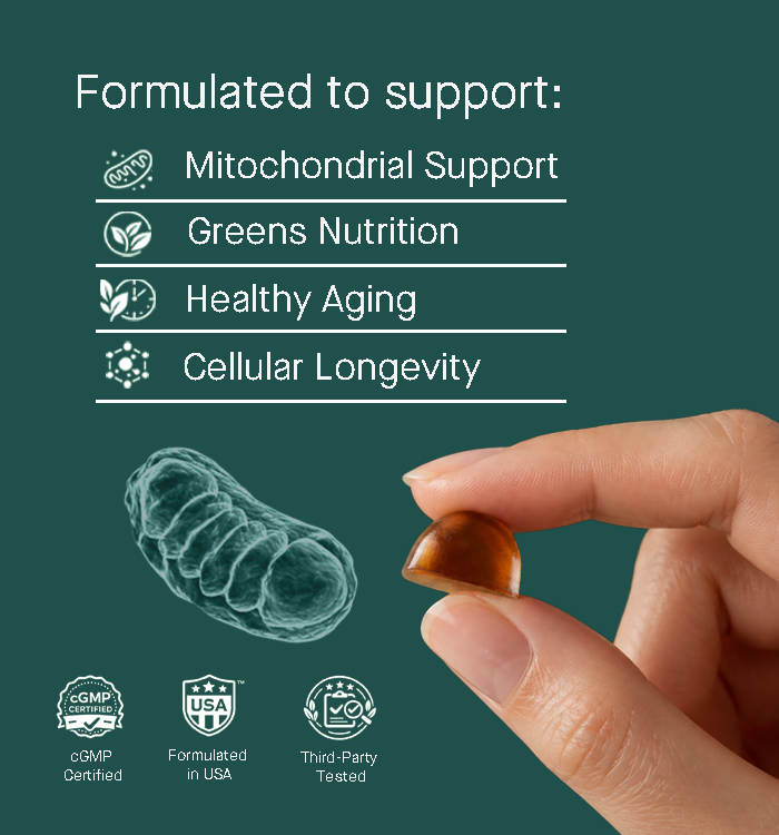 TOQUI Longevity Green Gummies