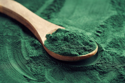 Spirulina (Arthrospira platensis)