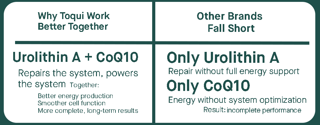Complete support vs one function